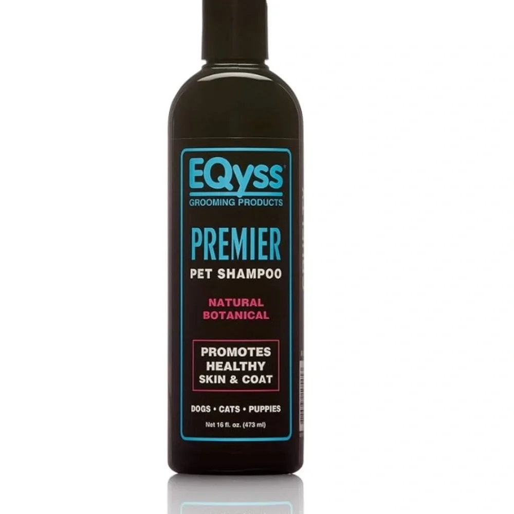 Black Small Pet Grooming Essential